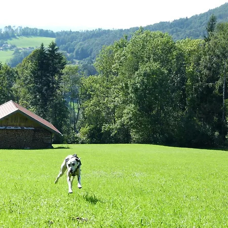 Appartement Gemuetliche Hauzenberg